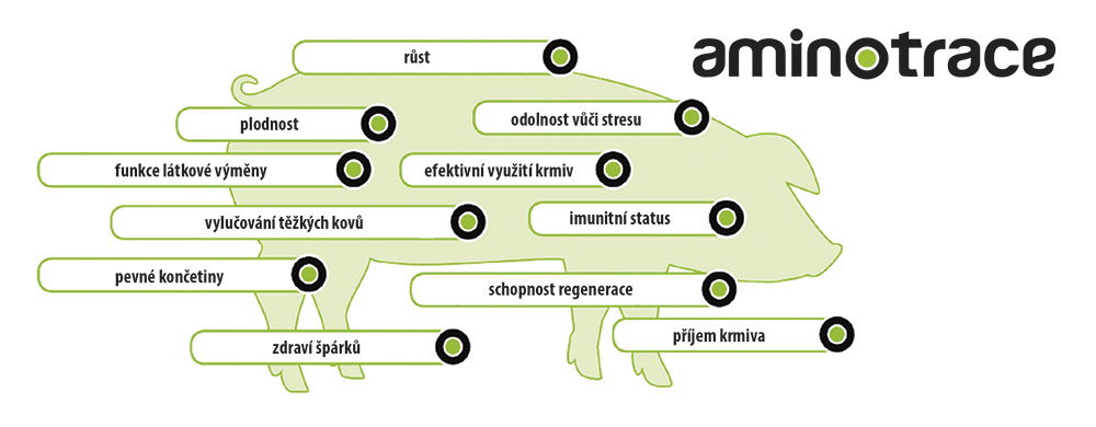 Těžiště účinku Těžiště účinku