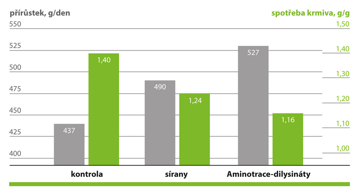 AMINOTRACE zvyšuje přírůstek AMINOTRACE zvyšuje přírůstek