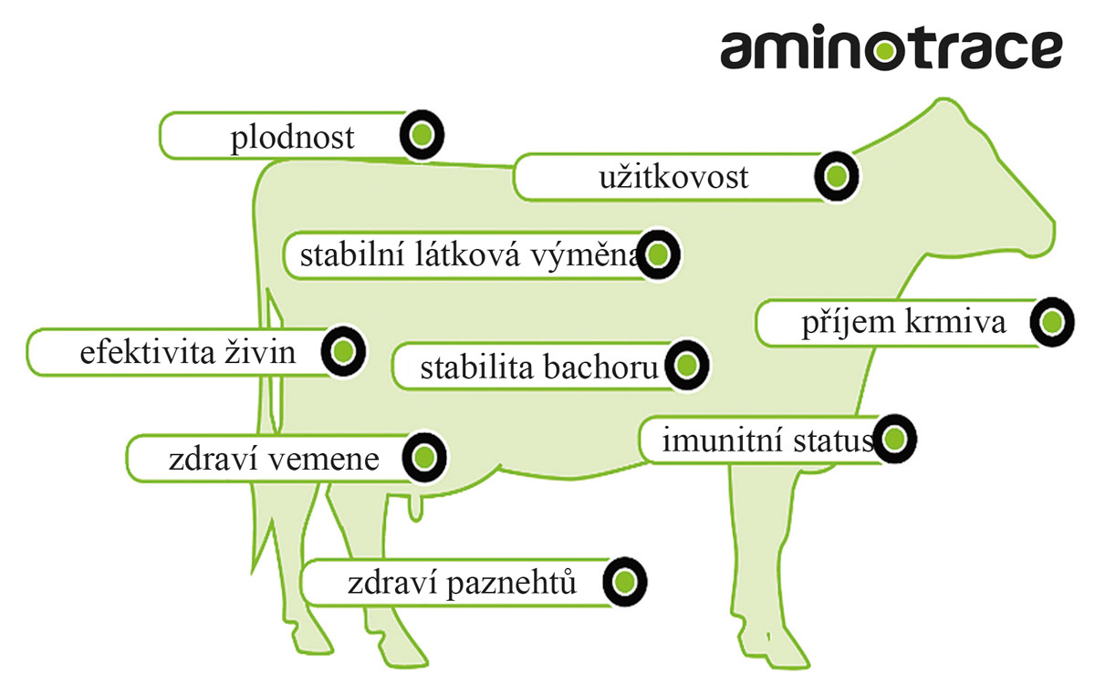 AMINOTRACE u skotu AMINOTRACE u skotu