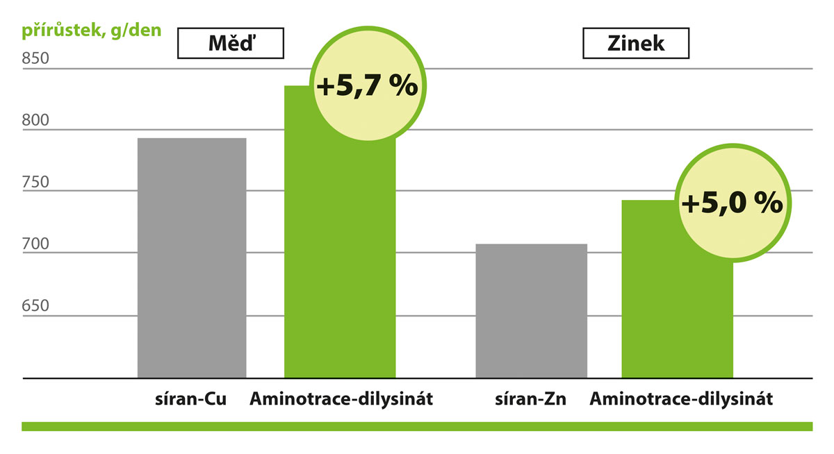 AMINOTRACE u skotu AMINOTRACE u skotu