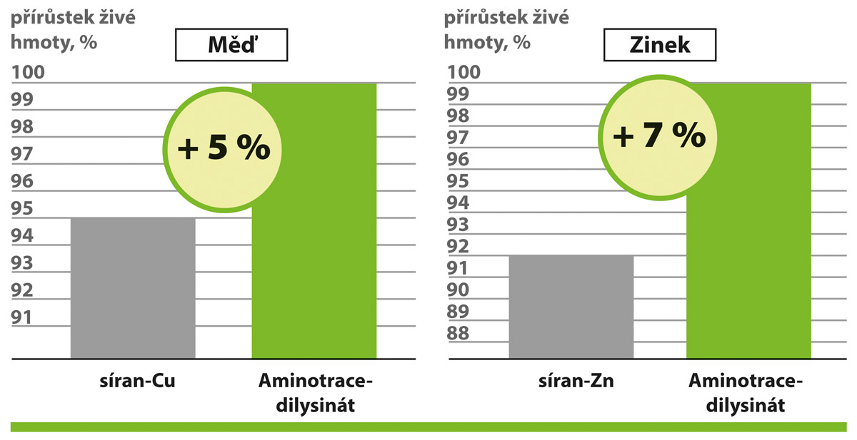 AMINOTRACE u drůbeže AMINOTRACE u drůbeže