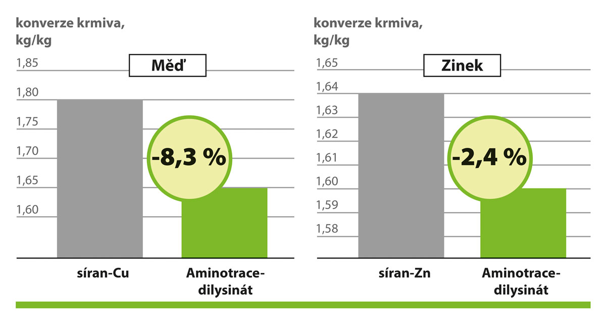 AMINOTRACE u drůbeže AMINOTRACE u drůbeže