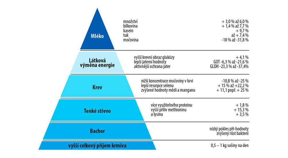 Pyramida účinku BOVIN-S-KOMPLEX Pyramida účinku BOVIN-S-KOMPLEX