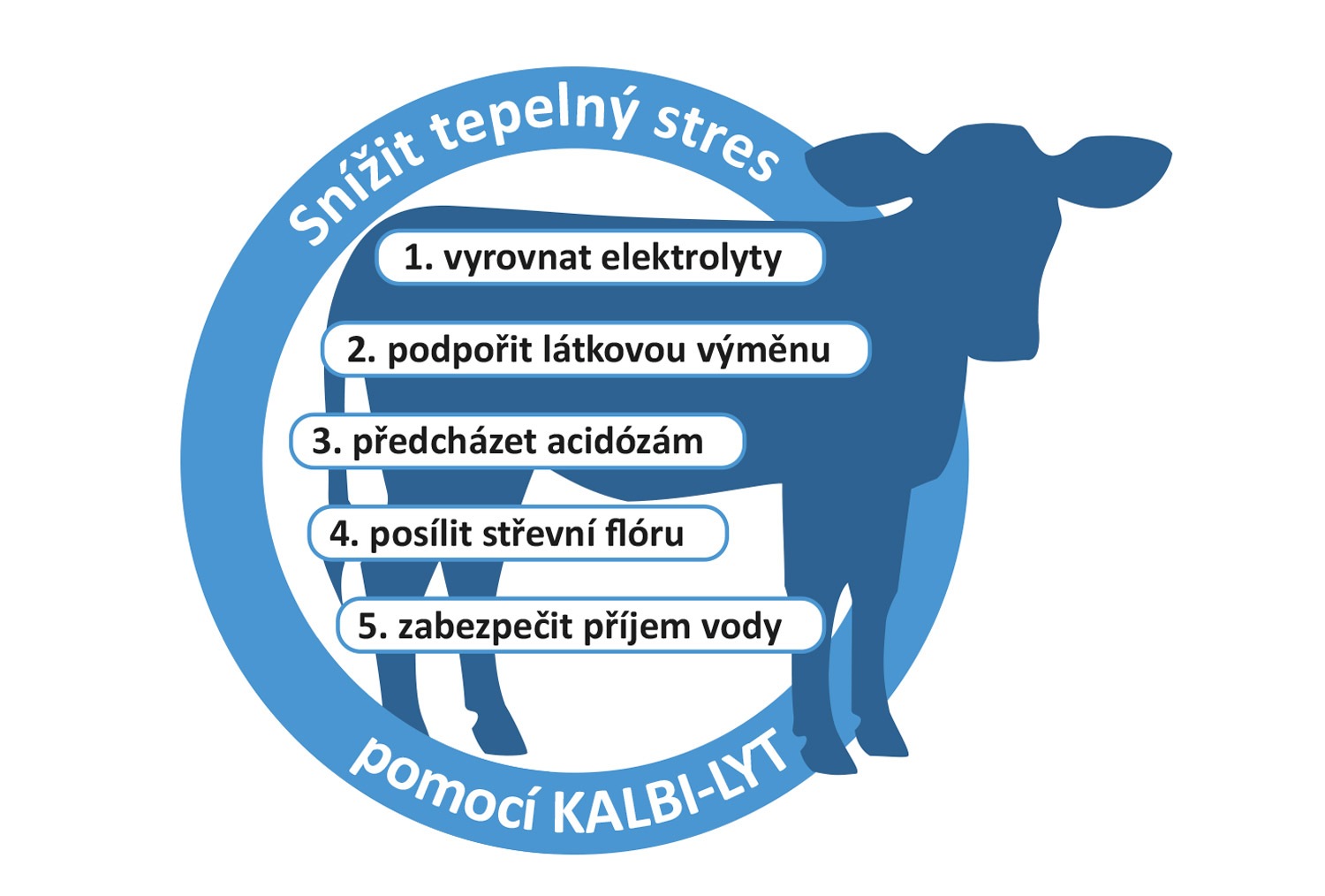 KALBI-LYT vyrovnává ztráty při pocení KALBI-LYT vyrovnává ztráty při pocení