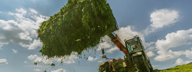 Radlader mit Grassilage Radlader mit Grassilage